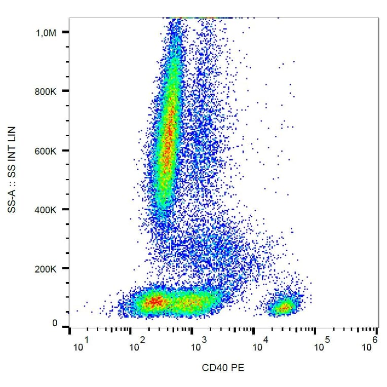 Flow Cytometry - Anti-CD40 Antibody [HI40a] (PE) (A85558) - Antibodies.com