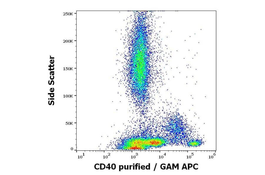 Flow Cytometry - Anti-CD40 Antibody [HI40a] - BSA and Azide free (A85564)
