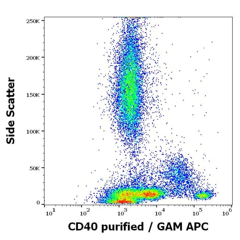 Flow Cytometry - Anti-CD40 Antibody [HI40a] - BSA and Azide free (A85564)