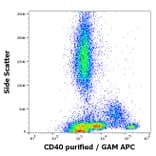Flow Cytometry - Anti-CD40 Antibody [HI40a] - BSA and Azide free (A85564)
