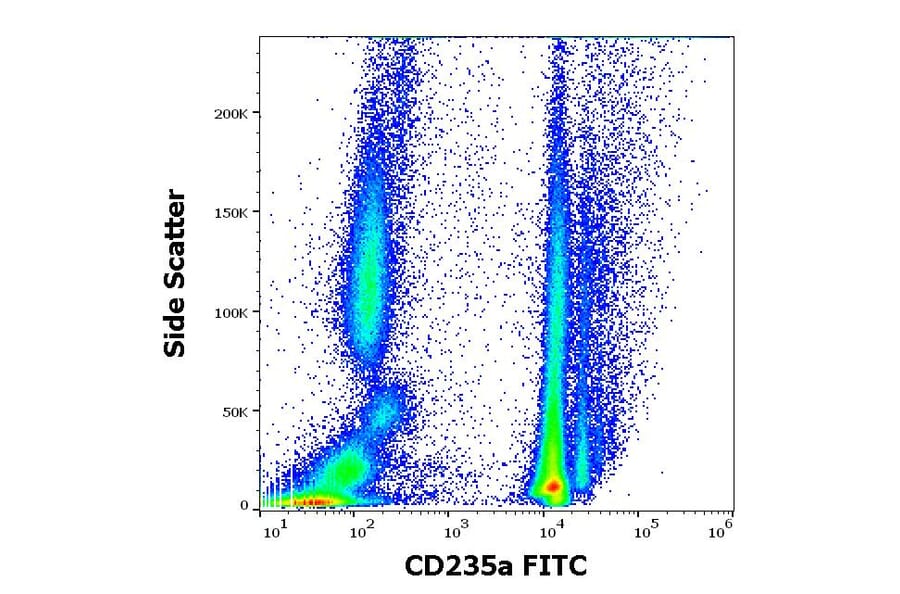 Flow Cytometry - Anti-Glycophorin A Antibody [JC159] (FITC) (A85566)