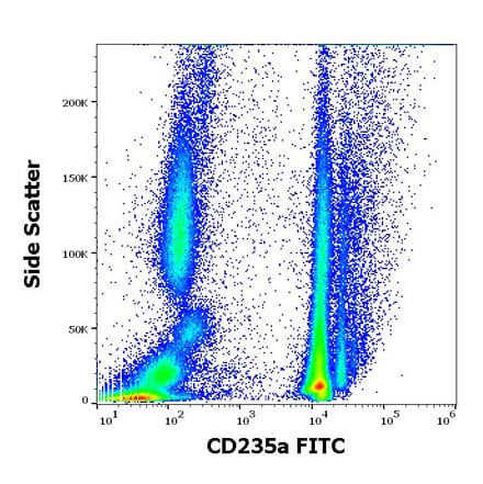 Flow Cytometry - Anti-Glycophorin A Antibody [JC159] (FITC) (A85566)