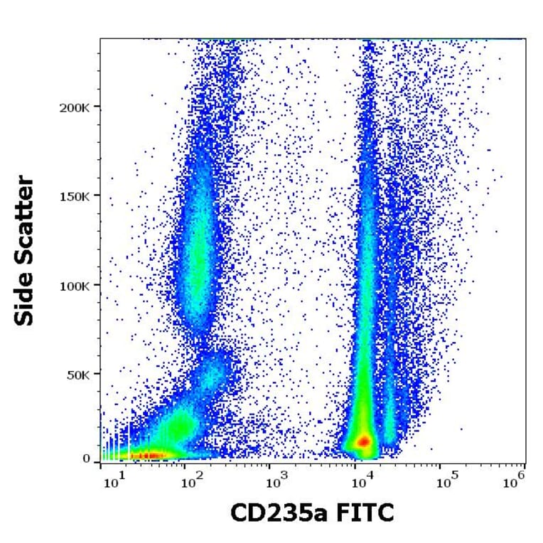 Flow Cytometry - Anti-Glycophorin A Antibody [JC159] (FITC) (A85566)