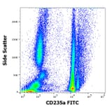 Flow Cytometry - Anti-Glycophorin A Antibody [JC159] (FITC) (A85566)