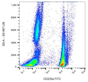 Flow Cytometry - Anti-Glycophorin A Antibody [JC159] (FITC) (A85562) - Antibodies.com