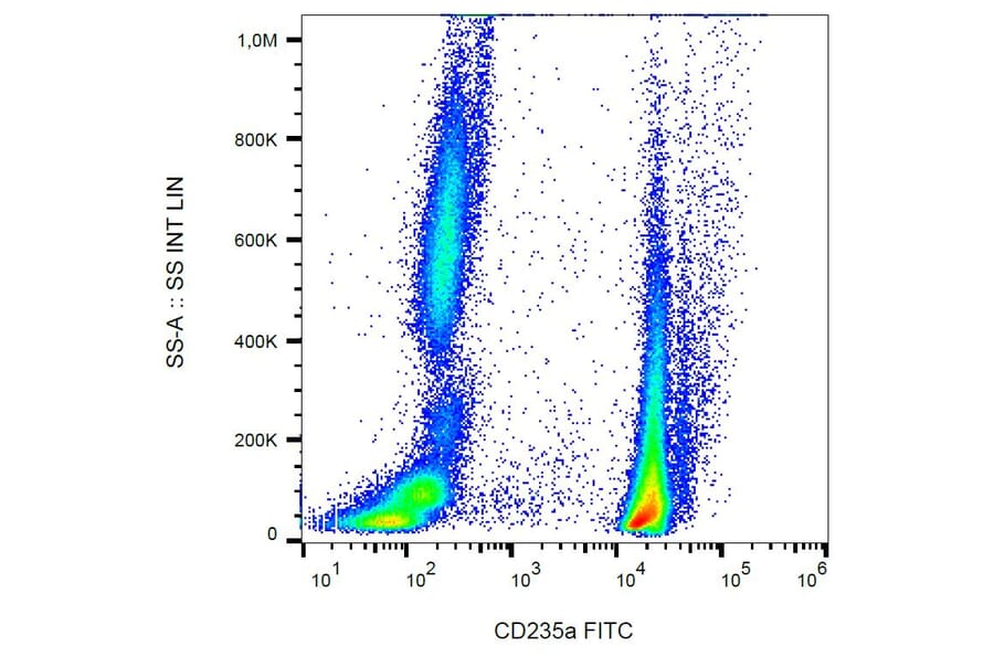 Flow Cytometry - Anti-Glycophorin A Antibody [JC159] (FITC) (A85562) - Antibodies.com