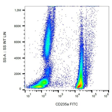 Flow Cytometry - Anti-Glycophorin A Antibody [JC159] (FITC) (A85562) - Antibodies.com