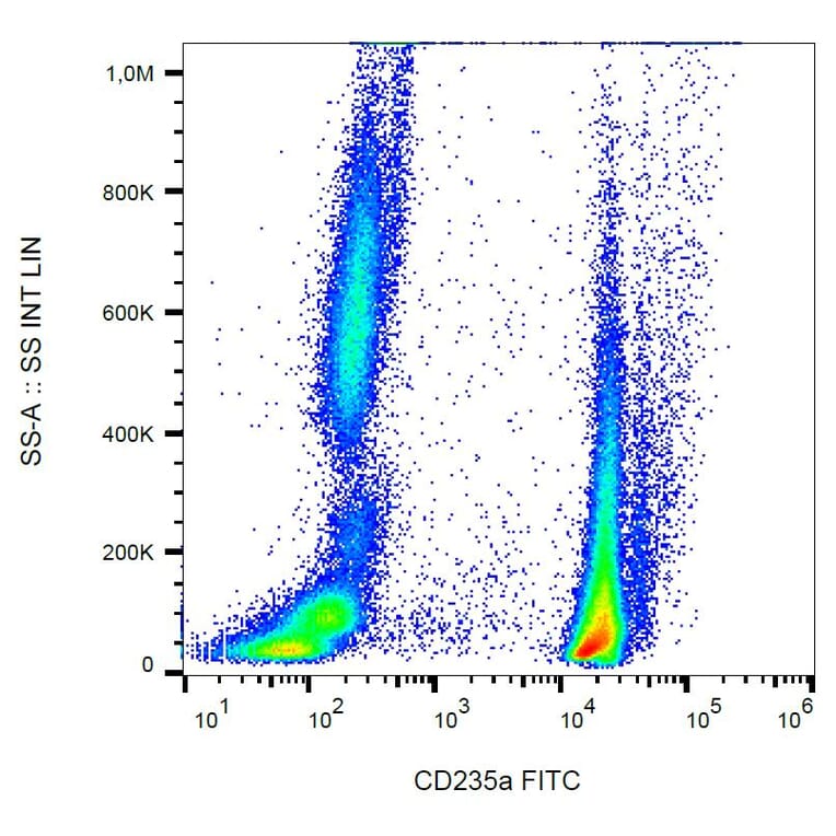 Flow Cytometry - Anti-Glycophorin A Antibody [JC159] (FITC) (A85562) - Antibodies.com