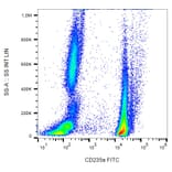 Flow Cytometry - Anti-Glycophorin A Antibody [JC159] (FITC) (A85562) - Antibodies.com