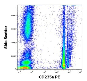 Flow Cytometry - Anti-Glycophorin A Antibody [JC159] (PE) (A85567)