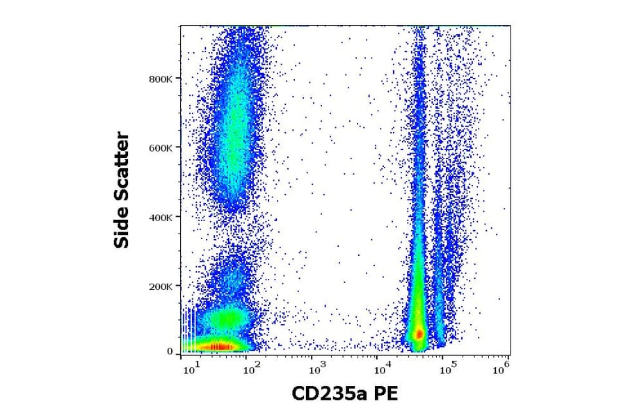 Flow Cytometry - Anti-Glycophorin A Antibody [JC159] (PE) (A85567)