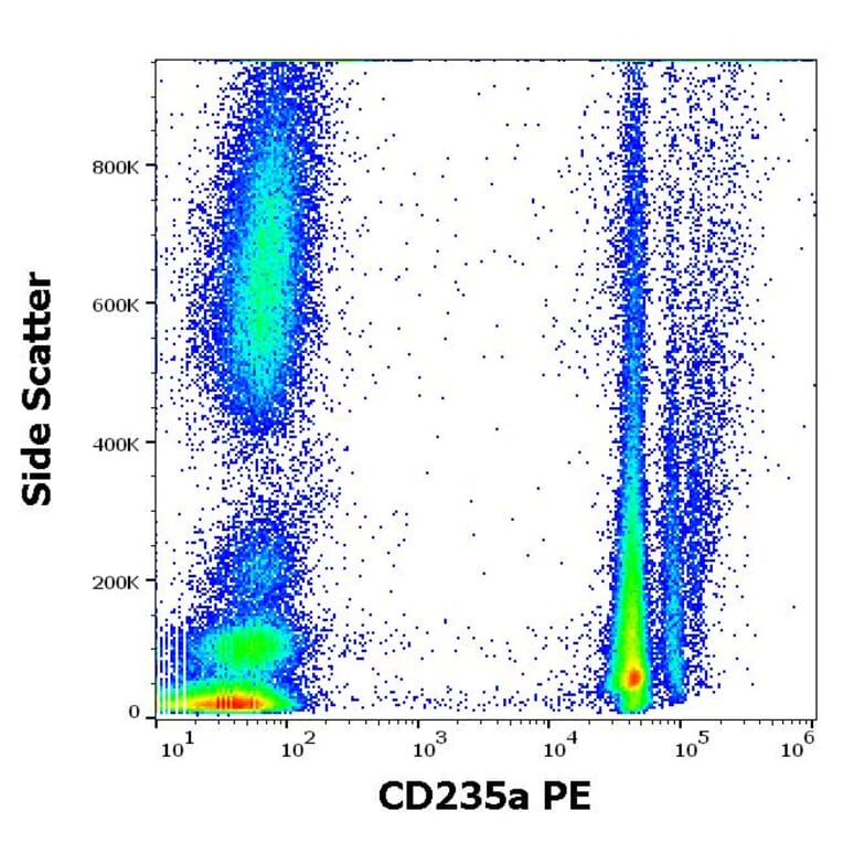 Flow Cytometry - Anti-Glycophorin A Antibody [JC159] (PE) (A85567)