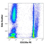 Flow Cytometry - Anti-Glycophorin A Antibody [JC159] (PE) (A85567)