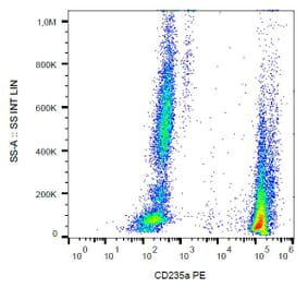 Flow Cytometry - Anti-Glycophorin A Antibody [JC159] (PE) (A85566) - Antibodies.com