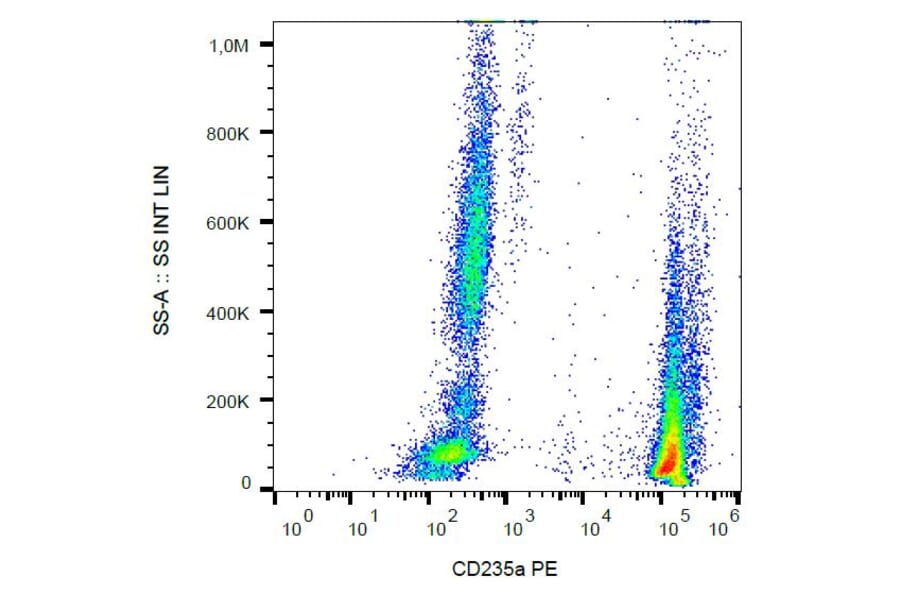 Flow Cytometry - Anti-Glycophorin A Antibody [JC159] (PE) (A85566) - Antibodies.com
