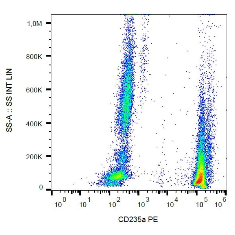 Flow Cytometry - Anti-Glycophorin A Antibody [JC159] (PE) (A85566) - Antibodies.com