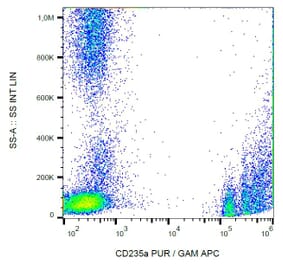 Flow Cytometry - Anti-Glycophorin A Antibody [JC159] (A85569)
