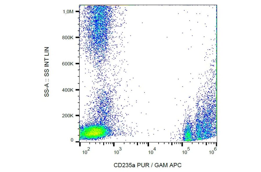 Flow Cytometry - Anti-Glycophorin A Antibody [JC159] (A85569)