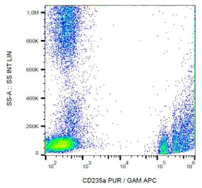 Flow Cytometry - Anti-Glycophorin A Antibody [JC159] (A85568) - Antibodies.com