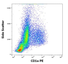 Flow Cytometry - Anti-CD1a Antibody [HI149] (PE) (A85578)