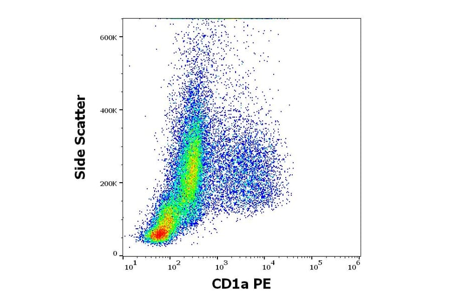 Flow Cytometry - Anti-CD1a Antibody [HI149] (PE) (A85578)