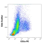 Flow Cytometry - Anti-CD1a Antibody [HI149] (PE) (A85578)