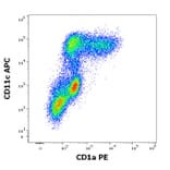 Flow Cytometry - Anti-CD1a Antibody [HI149] (PE) (A85578)