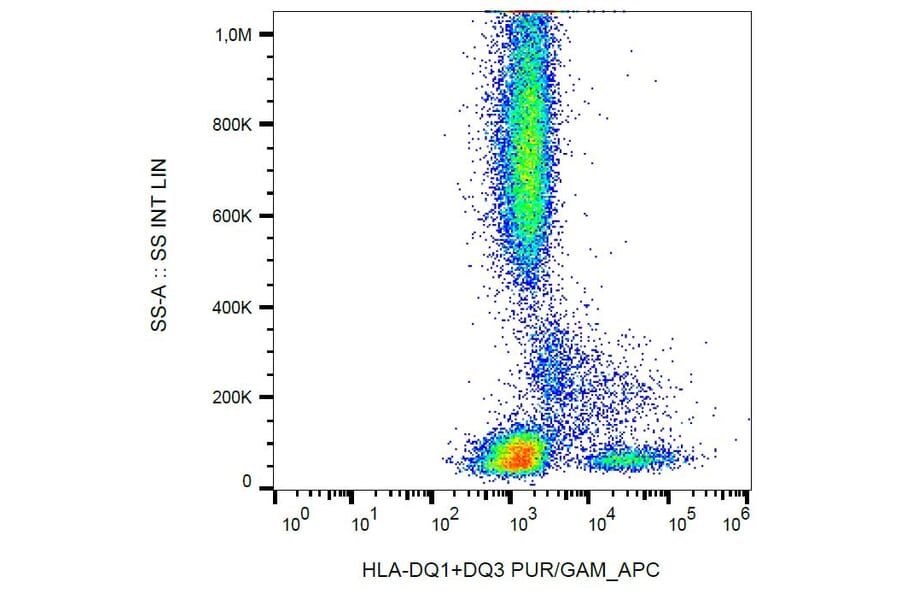 Flow Cytometry - Anti-HLA DQ1 + HLA DQ3 Antibody [HL-37] (A85585) - Antibodies.com