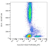 Flow Cytometry - Anti-HLA DQ1 + HLA DQ3 Antibody [HL-37] (A85585) - Antibodies.com