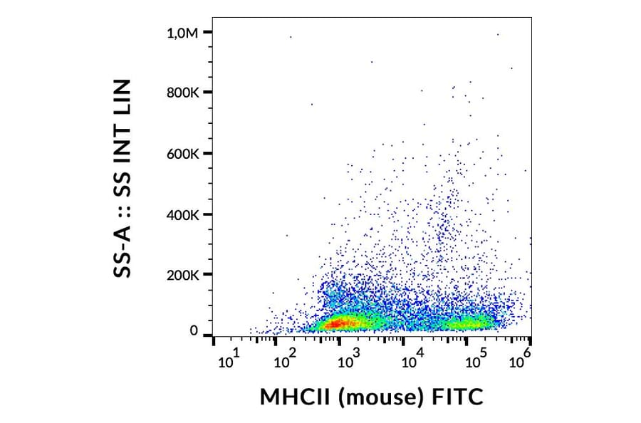 Flow Cytometry - Anti-MHC Class II Antibody [M5/114] (FITC) (A85588)