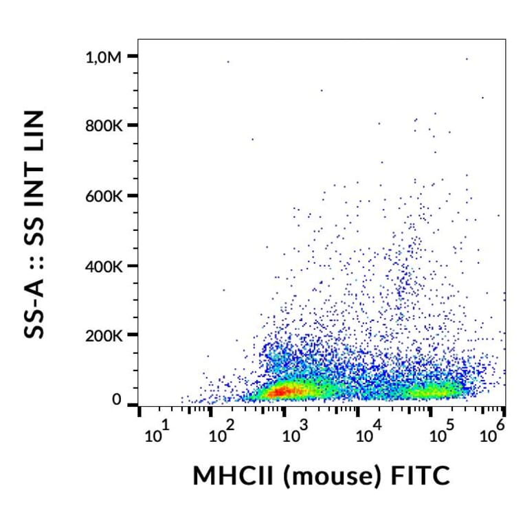 Flow Cytometry - Anti-MHC Class II Antibody [M5/114] (FITC) (A85588)