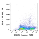 Flow Cytometry - Anti-MHC Class II Antibody [M5/114] (FITC) (A85588)