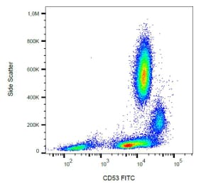 Flow Cytometry - Anti-CD53 Antibody [MEM-53] (FITC) (A85590)