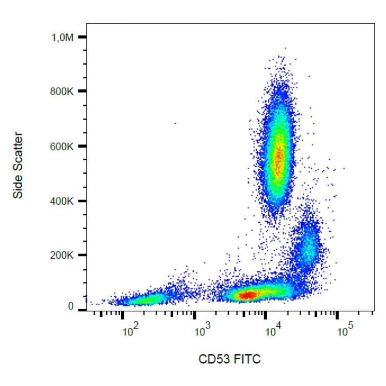 Flow Cytometry - Anti-CD53 Antibody [MEM-53] (FITC) (A85590)
