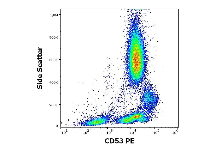 Flow Cytometry - Anti-CD53 Antibody [MEM-53] (PE) (A85591)