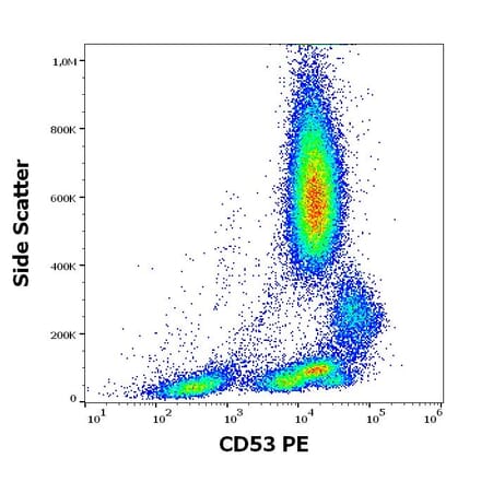 Flow Cytometry - Anti-CD53 Antibody [MEM-53] (PE) (A85591)