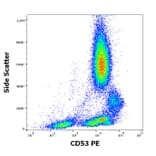 Flow Cytometry - Anti-CD53 Antibody [MEM-53] (PE) (A85591)