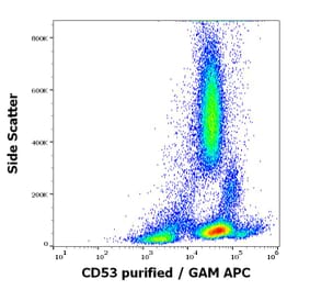 Flow Cytometry - Anti-CD53 Antibody [MEM-53] (A85592)