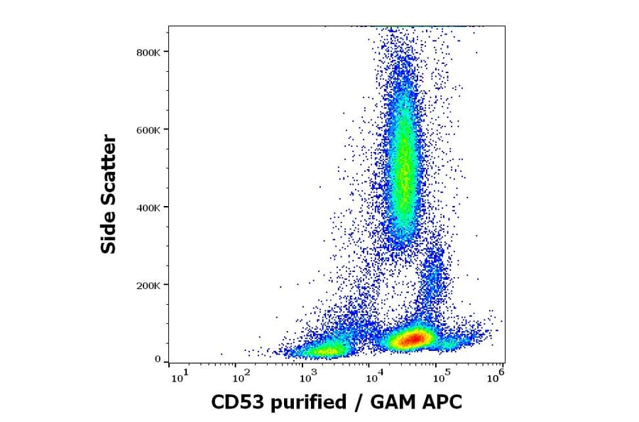Flow Cytometry - Anti-CD53 Antibody [MEM-53] (A85592)