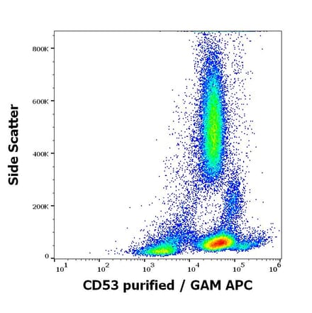 Flow Cytometry - Anti-CD53 Antibody [MEM-53] (A85592)
