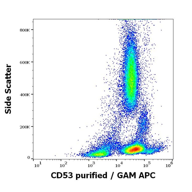 Flow Cytometry - Anti-CD53 Antibody [MEM-53] (A85592)