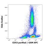Flow Cytometry - Anti-CD53 Antibody [MEM-53] (A85592)