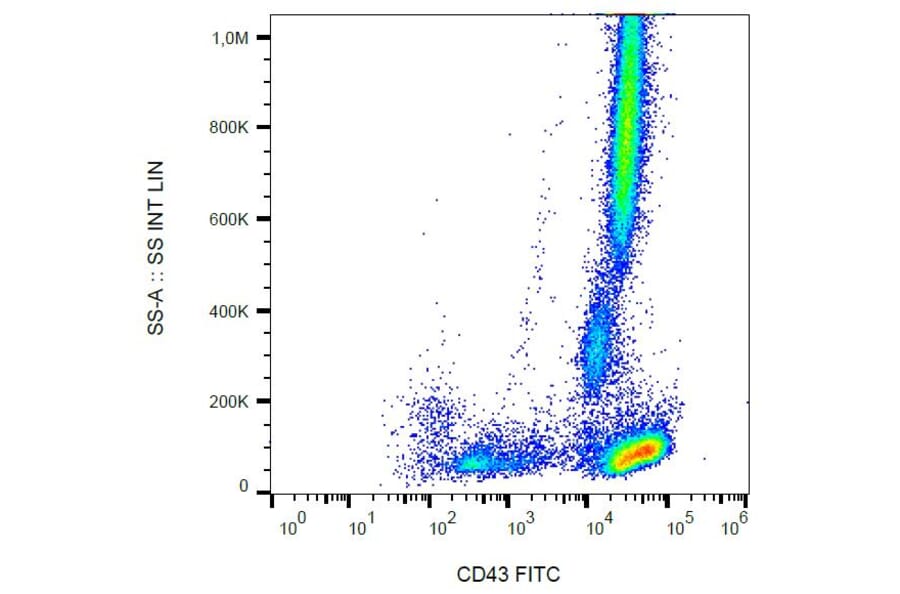Flow Cytometry - Anti-CD43 Antibody [MEM-59] (FITC) (A85598)
