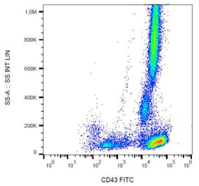 Flow Cytometry - Anti-CD43 Antibody [MEM-59] (FITC) (A85597) - Antibodies.com