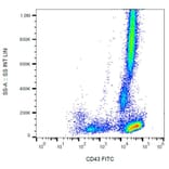 Flow Cytometry - Anti-CD43 Antibody [MEM-59] (FITC) (A85597) - Antibodies.com
