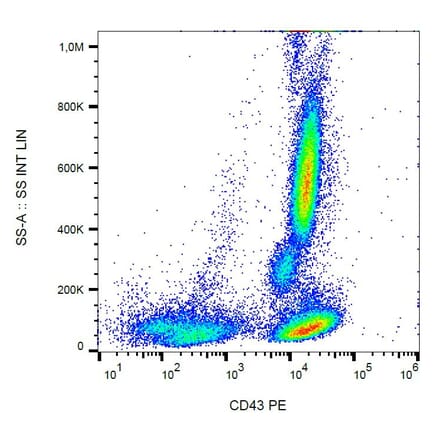 Flow Cytometry - Anti-CD43 Antibody [MEM-59] (PE) (A85599)