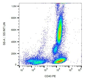 Flow Cytometry - Anti-CD43 Antibody [MEM-59] (PE) (A85598) - Antibodies.com