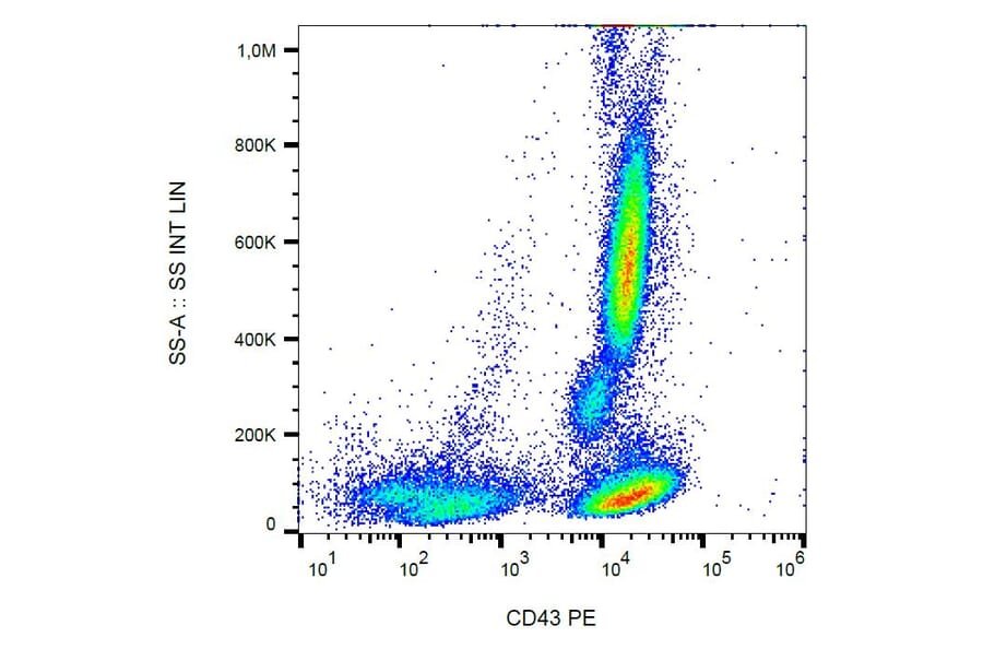 Flow Cytometry - Anti-CD43 Antibody [MEM-59] (PE) (A85598) - Antibodies.com