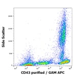 Flow Cytometry - Anti-CD43 Antibody [MEM-59] (A85600)