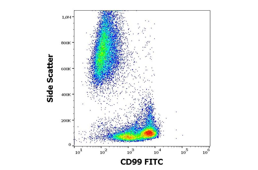 Flow Cytometry - Anti-CD99 Antibody [3B2/TA8] (FITC) (A85605)